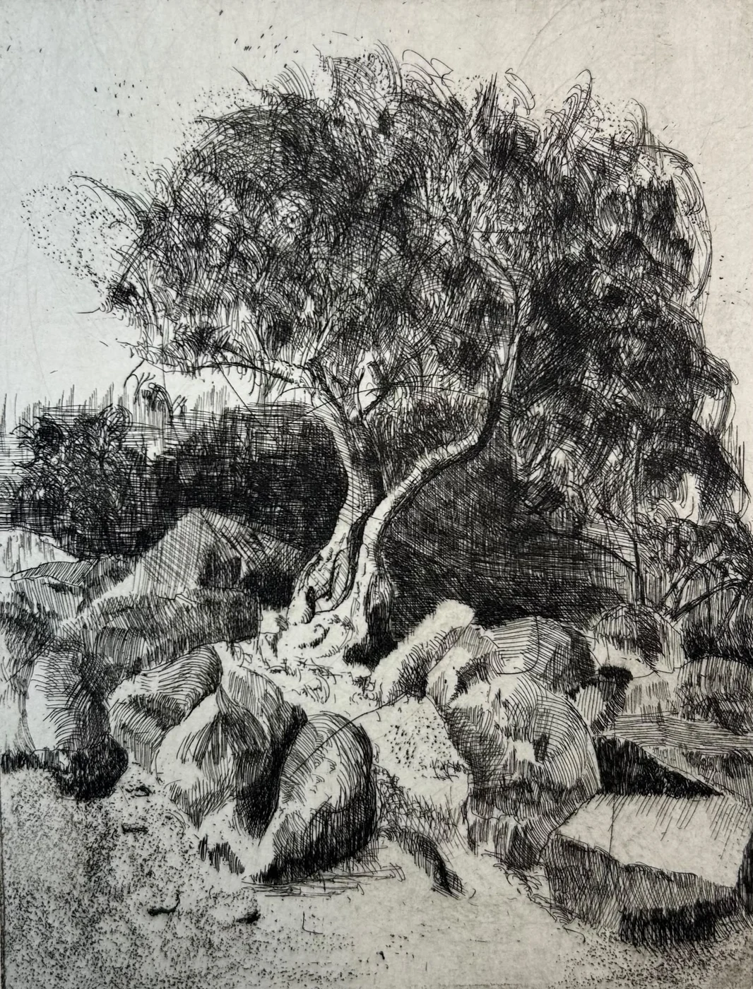 Paisaje de dehesa en un grabado de Juanma Rodríguez